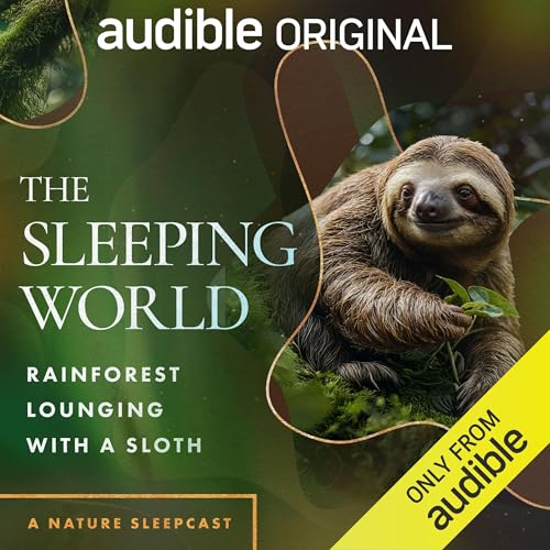 The Sleeping World: Rainforest Lounging with a Sloth