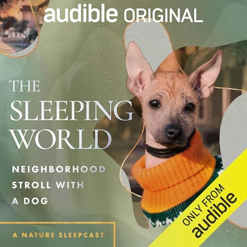 The Sleeping World: Neighborhood Stroll with a Dog