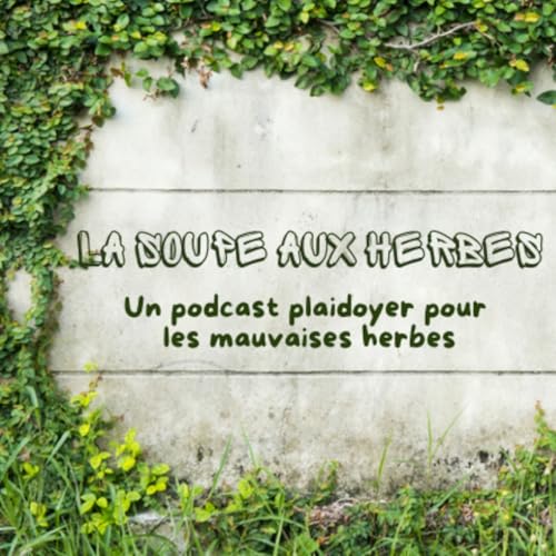 La Soupe aux Herbes by Pascaline Bourgain