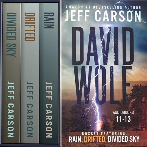 The David Wolf Mystery Thriller Series: Books 11-13