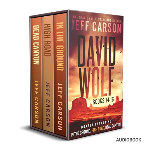 The David Wolf Mystery Thriller Series: Books 14-16