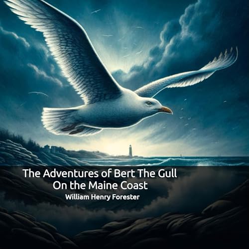 The Adventures of Bert the Gull