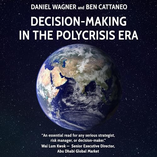 Decision-Making in the Polycrisis Era