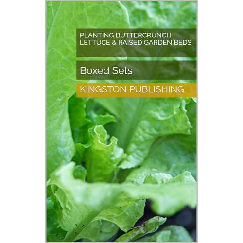 Planting Fresh Buttercrunch Lettuce & Raised Garden Beds