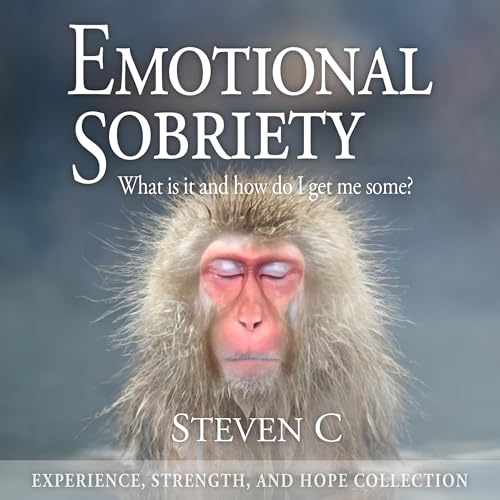 Emotional Sobriety by Steven C