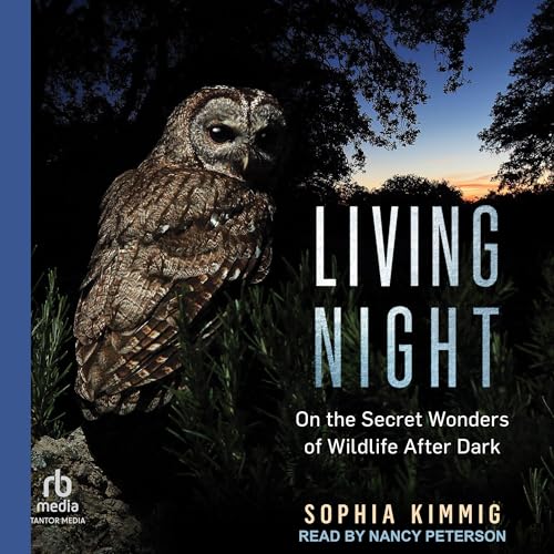 Living Night by Sophia Kimmig