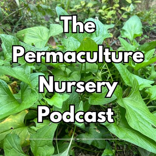 The Permaculture Nursery Podcast by bennyjamminster