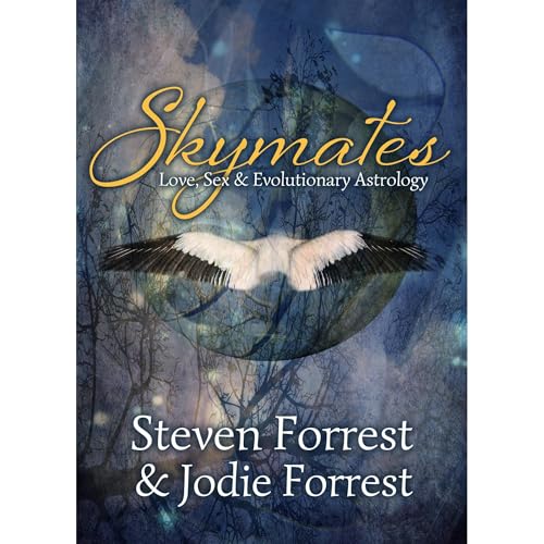 Skymates by Steven Forrest