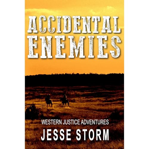 Accidental Enemies by Jesse Storm