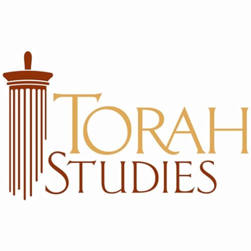 Torah Studies 5785 - 20 - Vayakhel: Rules of Engagement | Rabbi Ari Sollish by Unknown