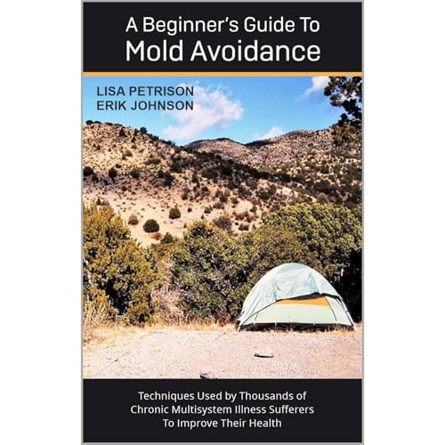 A Beginner's Guide to Mold Avoidance by Lisa Petrison
