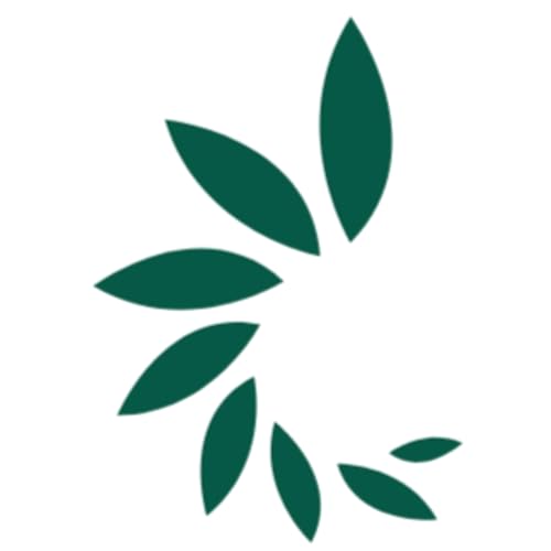 Ayurvedic Remedy by More Ayurveda