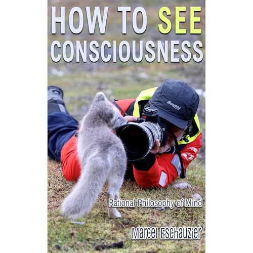 How to See Consciousness