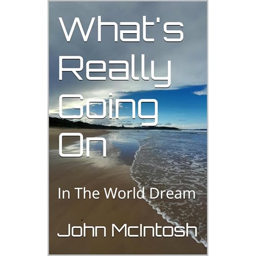 What's Really Going On by John McIntosh