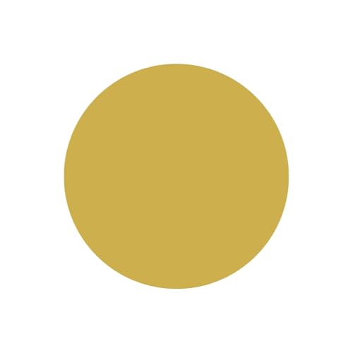 Meditatively Ambient Experiences by Mæx