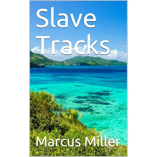 Slave Tracks by Marcus Miller