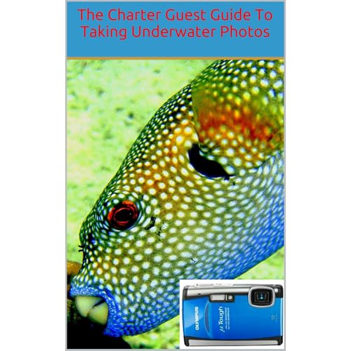 The Charter Guest Guide To Underwater Photography