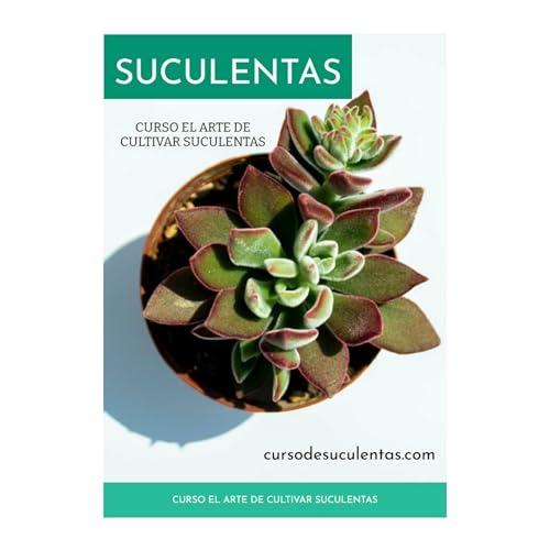 EL ARTE DE CULTIVAR SUCULENTAS by Ale Sisco