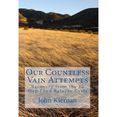 Our Countless Vain Attempts