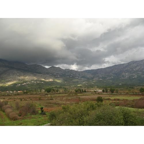 What makes them different from us from others by Devika Primic