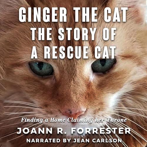 Ginger the Cat by JoAnn Forrester