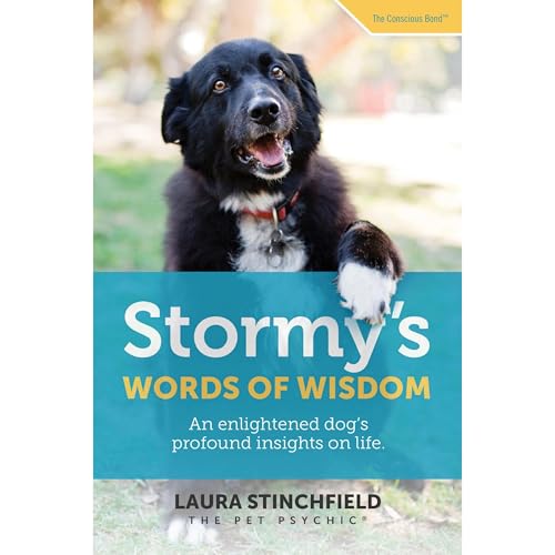 Stormy's Words of Wisdom by Laura Stinchfield