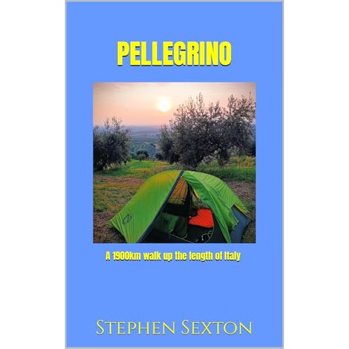 Pellegrino by Stephen Sexton