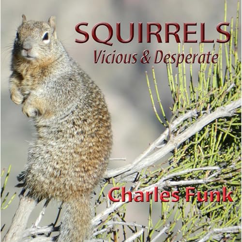 Squirrels, Vicious & Desperate by Charles Funk
