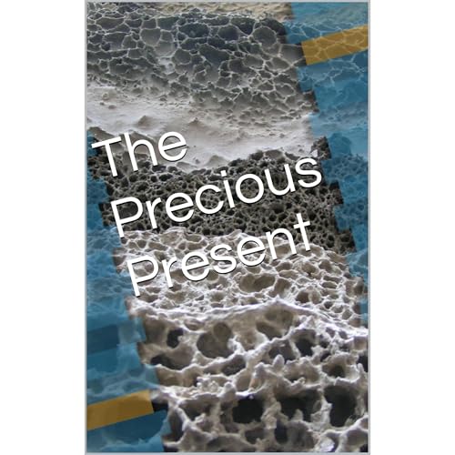 The Precious Present by Danish Mir