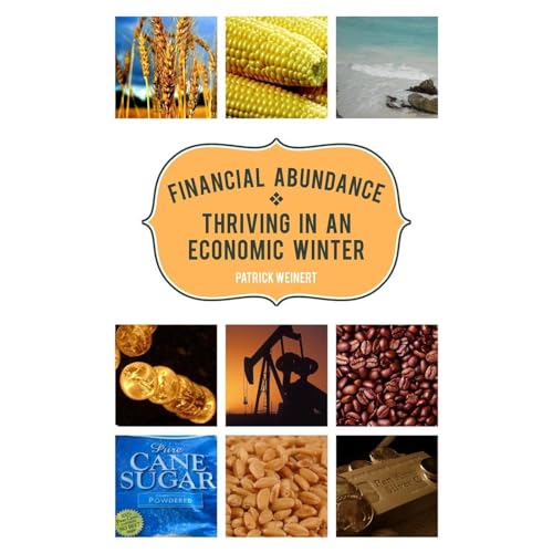 Financial Abundance: Thriving in an Economic Winter