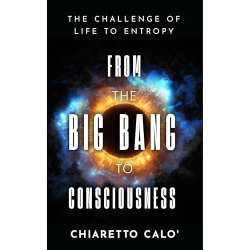 From the Big Bang to Consciousness by Chiaretto Calò