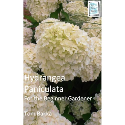 HYDRANGEA PANICULATA by Tom Bakka