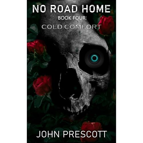 NO ROAD HOME Book Four: Cold Comfort