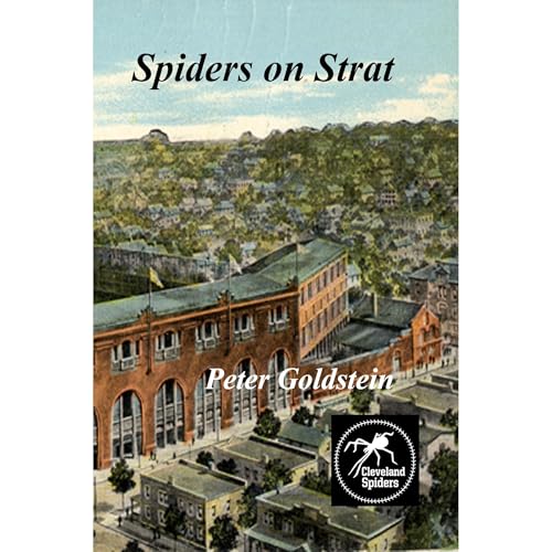 Spiders on Strat by Peter Goldstein