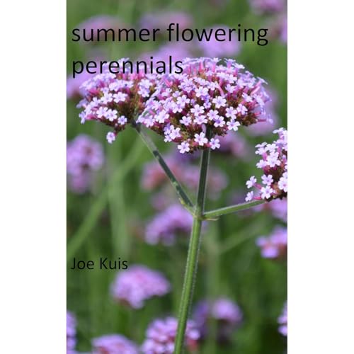SUMMER FLOWERING PERENNIALS