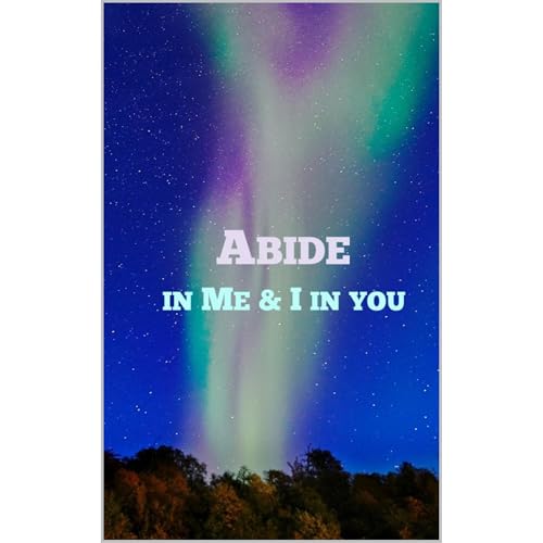 ABIDE: IN ME AND I IN YOU (ABIDE SERIES)