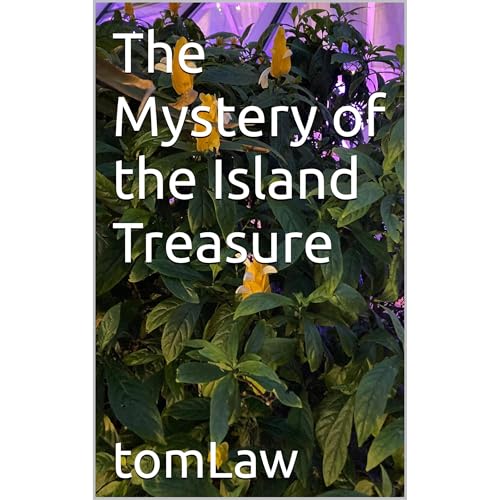 The Mystery of the Island Treasure
