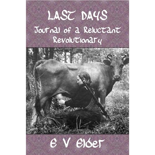 Last Days by Elizabeth V Elder