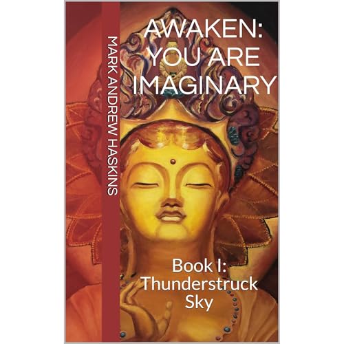 Awaken: You Are Imaginary by Mark Andrew Haskins