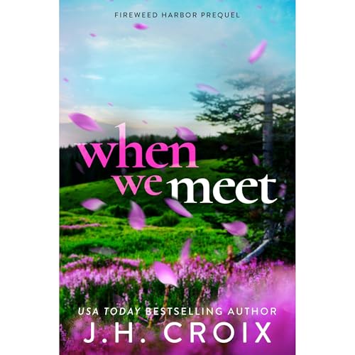 When We Meet