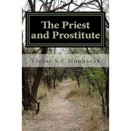 The Priest and Prostitute by Victor S E Moubarak
