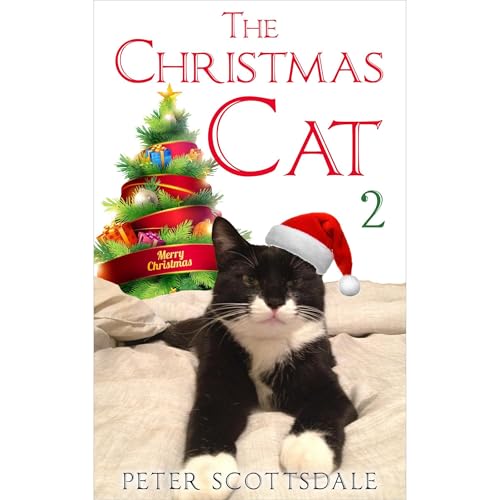 The Christmas Cat 2