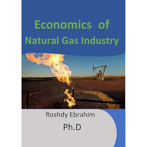 Economics of Natural Gas Industry by Roshdy Ebrahim PhD