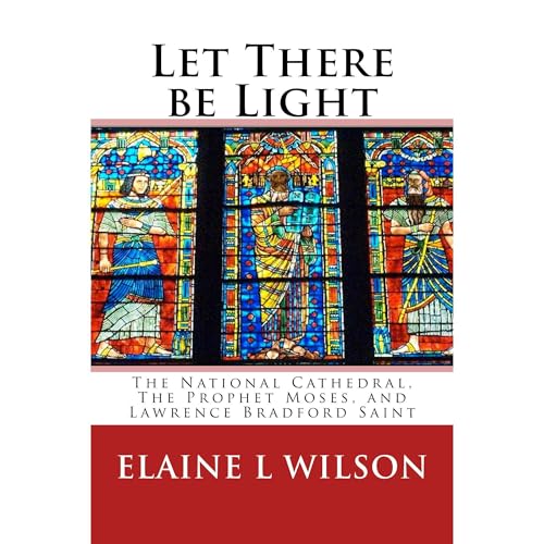 Let There be Light by Elaine Wilson