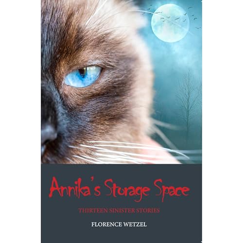 Annika's Storage Space