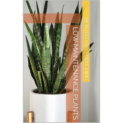 Low Maintenance Plants