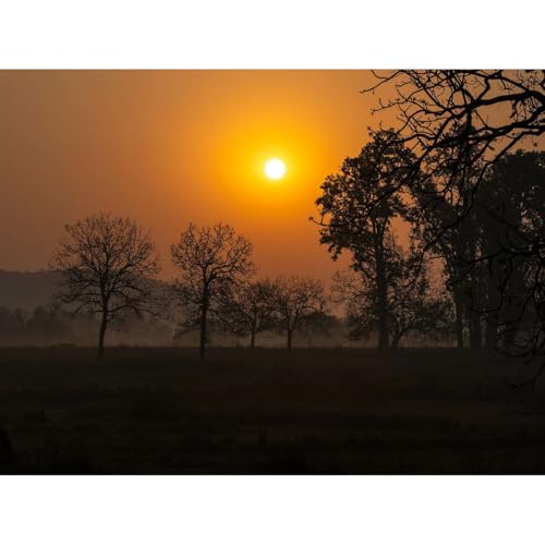 नींद के लिए श्वास क्रिया ©2025 Breathwork for Sleep by Unknown