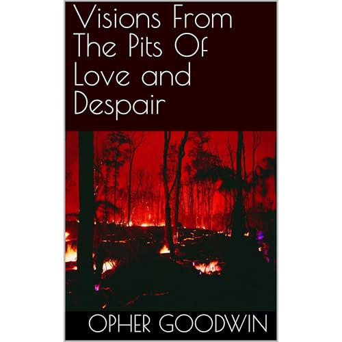 Visions From The Pits Of Love and Despair