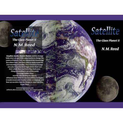 Satellite by N. M. Reed