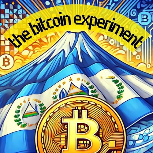 The Bitcoin Experiment by Sean Rust